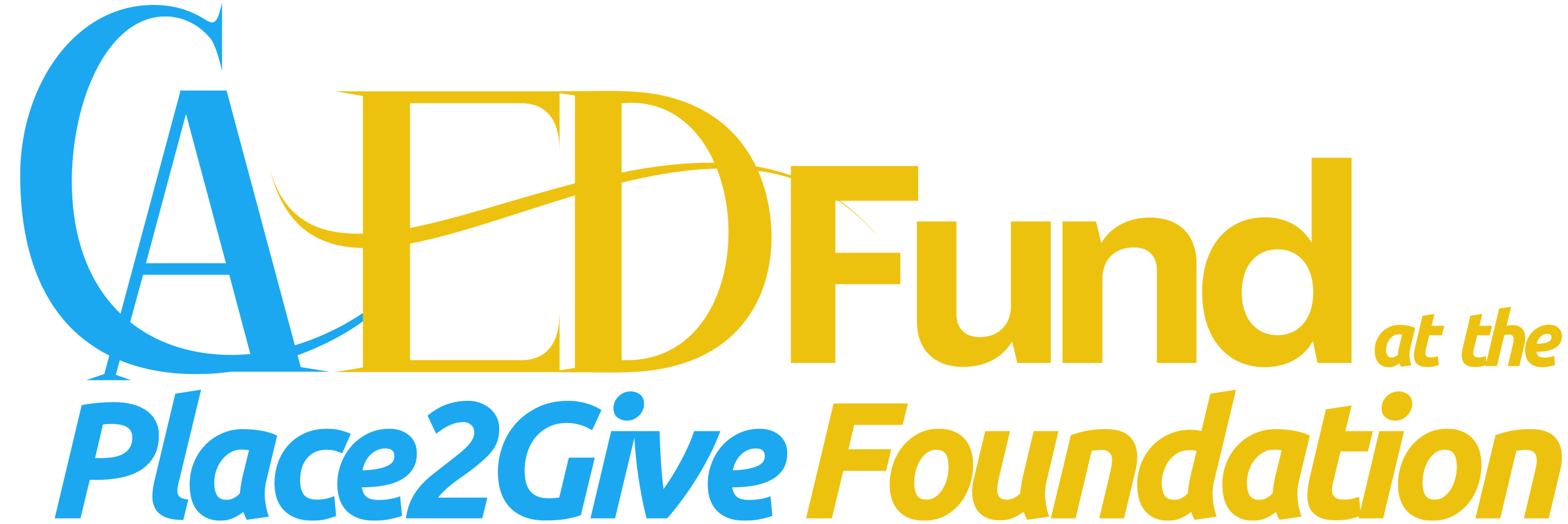 [logo] CAED Fund at the Place2Give Foundation